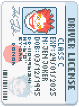 Driver's License