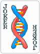 DNA