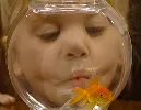 A_fish_called_martin.webp_ref454i6