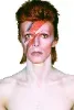 HOHBowie2.jpg_2chhqmsf