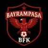 logo_1754593166216.png_3bl8o374