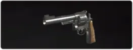 WAW-357-magnum.webp_g4atrw08