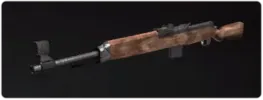 WAW-gewehr-43.webp_vjuenn1k