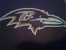20260119_174429.jpg_gnbnfz8p