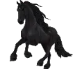 1720709303-breed-friesian-07.png_c5nlgq1a