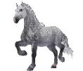 1761840658-percheron_01.png_nt6xf9mf