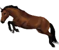 1699368806-belgian-warmblood-coat-color-allan2.png_9aob4sbl