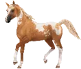 1683128845-pintabian-var05.png_p4drxm8y