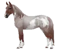 1669913350-render_png_gh84_tennessee_walking_horse_var_02.png_806vr6wd