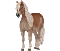 1682410782-haflinger_var03.png_sj342ncr