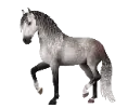 1757343199-andalusian_01.png_mcubwffh