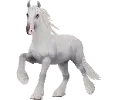 1682435838-shire_var02_white.png_8n8pptrq