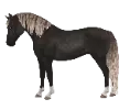 1675789618-breed-morgan-coat7.png_pnbybj67