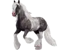 1761752520-irish-cob_03.png_mgl46ki2