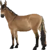 1747057362-mule-08.png_ww5ws421