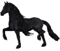 1681896284-friesian-var01.png_ut4iy49e