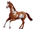 1761924451-jorvik-warmblood_08.png_xfvq3brp