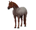 1709915792-aqh_variation_06.png_1uivkusy
