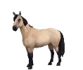 1761752488-chincoteague_07.png_ayiupbij