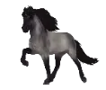 1675787928-breeed-icelandic-color5.png_8tl1a0f2