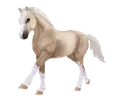 1682415363-welshpony_var_01_palomino.png_j6tm9f1m