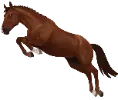 1741615720-breed-hanoverian-variation-4.png_h5u510q3