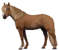1700234602-finnhorse_variation4.png_9petq51y