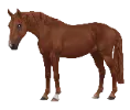 1773052003-render_png_gh104_swb_variation_05_idle_webpose_transparent.png_p6hphgzg