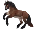 1682427893-jorvikwildhorse_var_04_mantlestripedbay_rear.png_k5s1e2rm