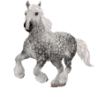 1704795638-ardennes-07.png_fg2vb9je