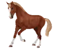 1709907450-sellefrancais_variation_01.png_jf0crvsh