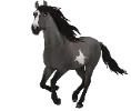 1691137719-mustang-variation-5.png_cjlzgyje