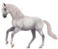 1761839875-lusitano_01.png_42lomwcu