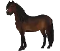 1705588851-dartmoor-variation-1-1.png_j251ufpu