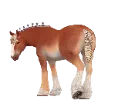 1761752501-clydesdale_07.png_j4wr94yr