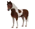 1709913992-curly_variation_05.png_vxf1uzhb