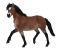 1675962342-breed-gotland-pony-1.png_gjpnn9fg