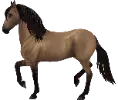 1682413257-pasofino_variation_04.png_kkroirah