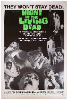 night_of_the_living_dead_xlg.jpg
